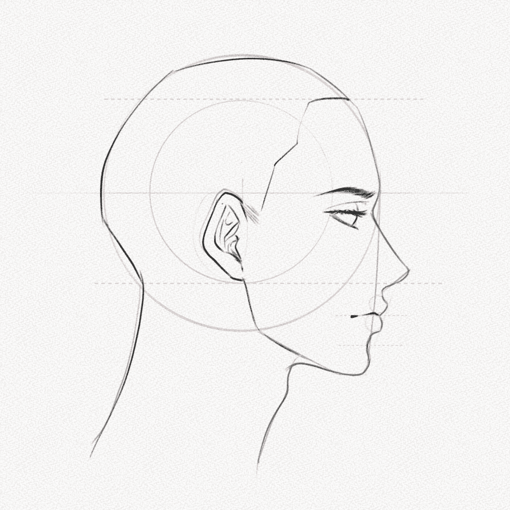 how to draw a side profile