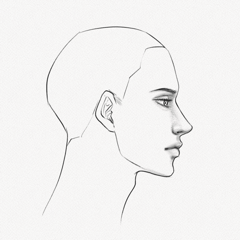 Female Faces side view on Behance