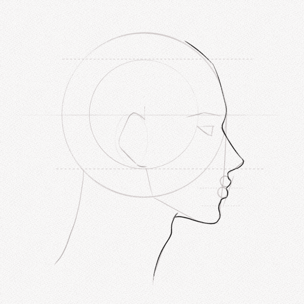 how to draw a side profile