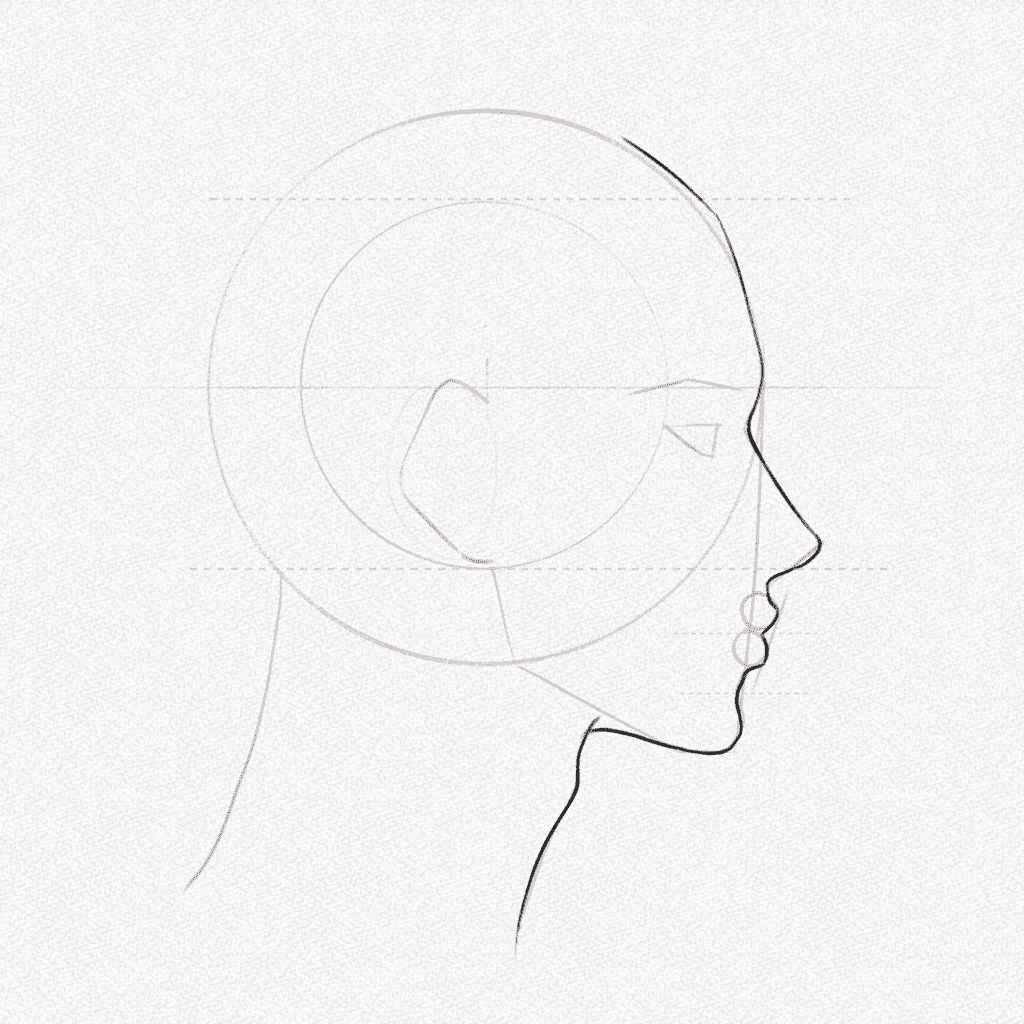 Side Profile Drawing  A StepbyStep Tutorial  Artlex