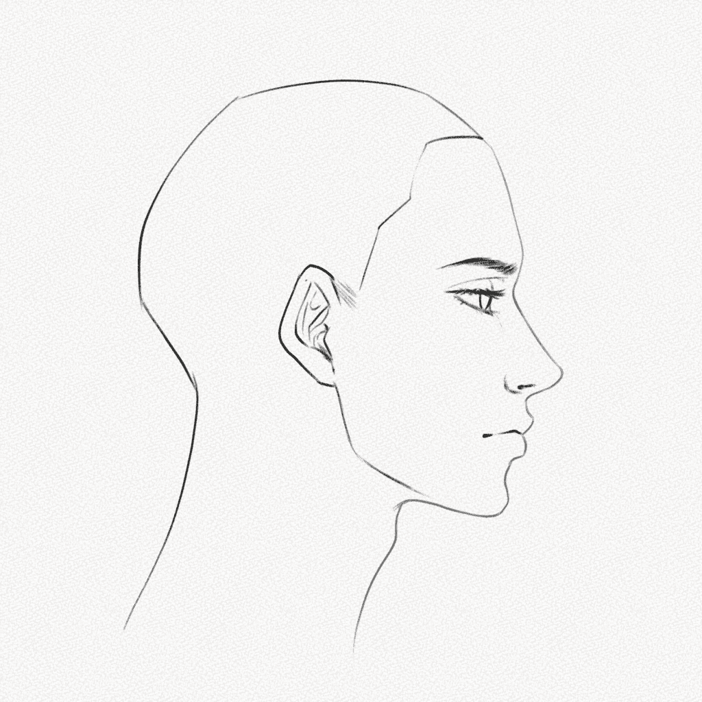 how to draw a side profile