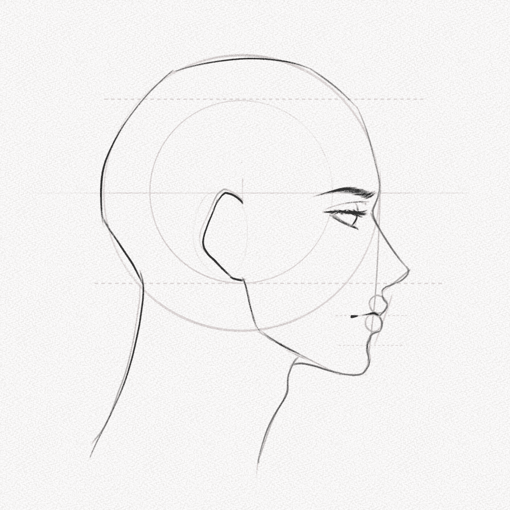 how to draw a side profile