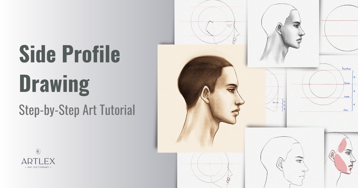 Side Profile Drawing – A Step-by-Step Tutorial – Artlex