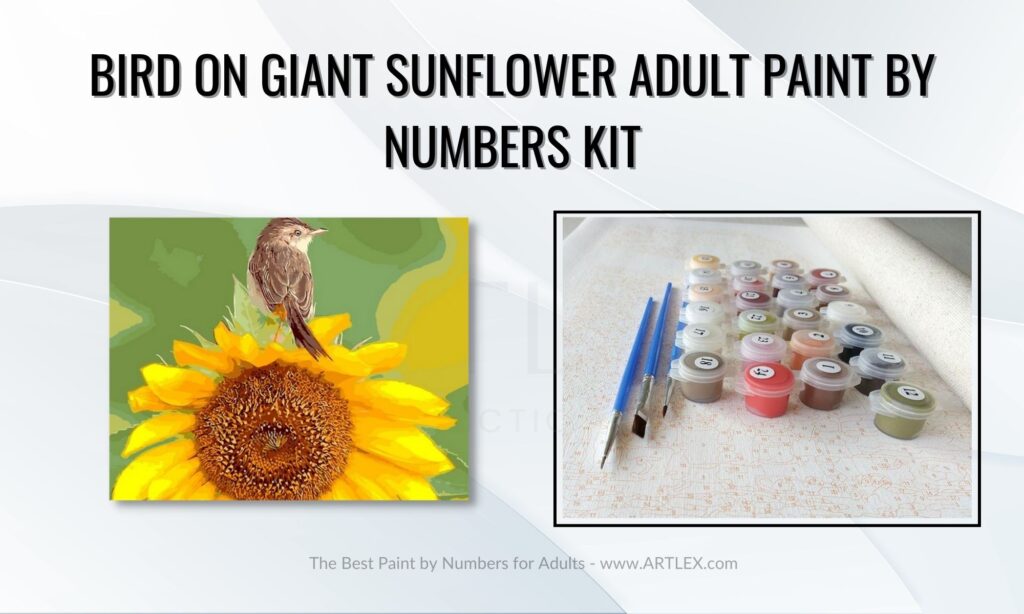 The Best Paint By Numbers Kits For Adults
