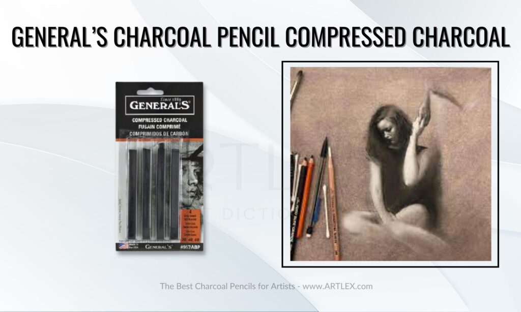 Best Charcoal pencils for Artists//Camlin, General, Derwent, Conte