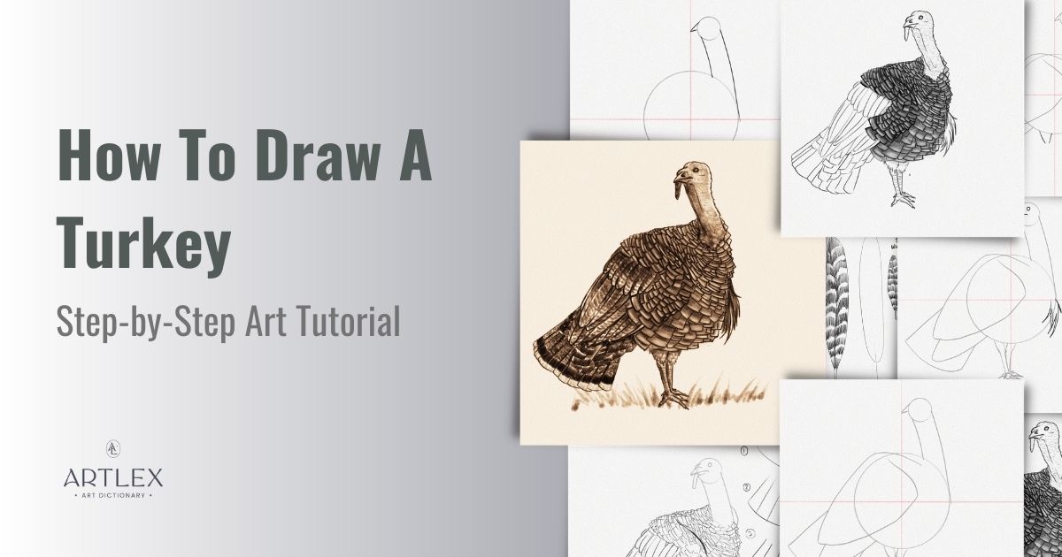 How To Draw A Turkey – Step-by-Step Art Tutorial