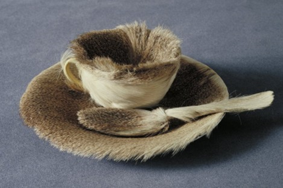 Meret Oppenheim, OBJECT (LE DEJEUNER EN FOURRURE), 1936, fur-covered cup, saucer, and spoon - The Museum of Modern Art, New York (MoMA), USA
