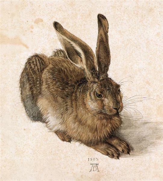 A Young Hare - Albrecht Durer