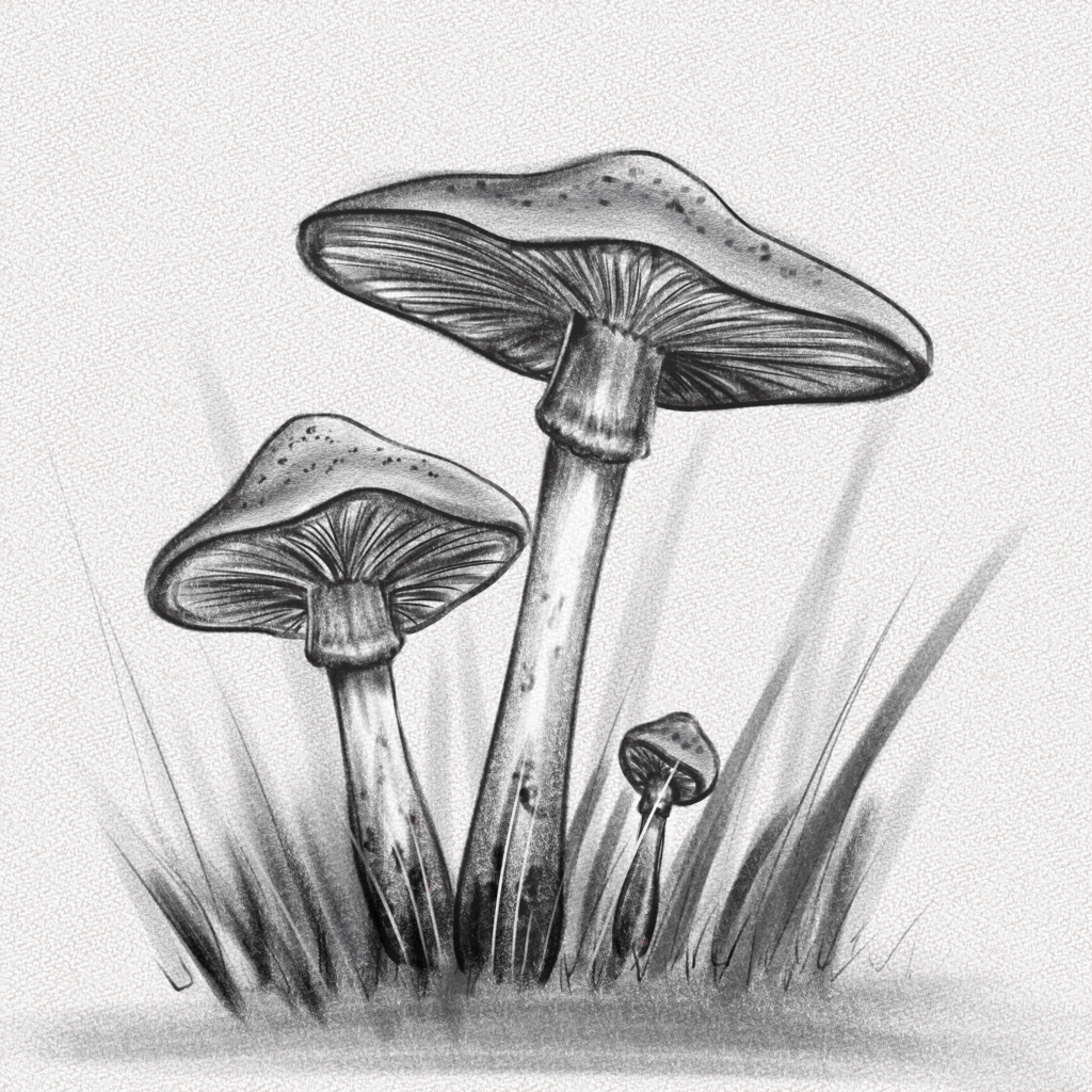 How to Draw A Mushroom  StepbyStep Art Tutorial  Artlex