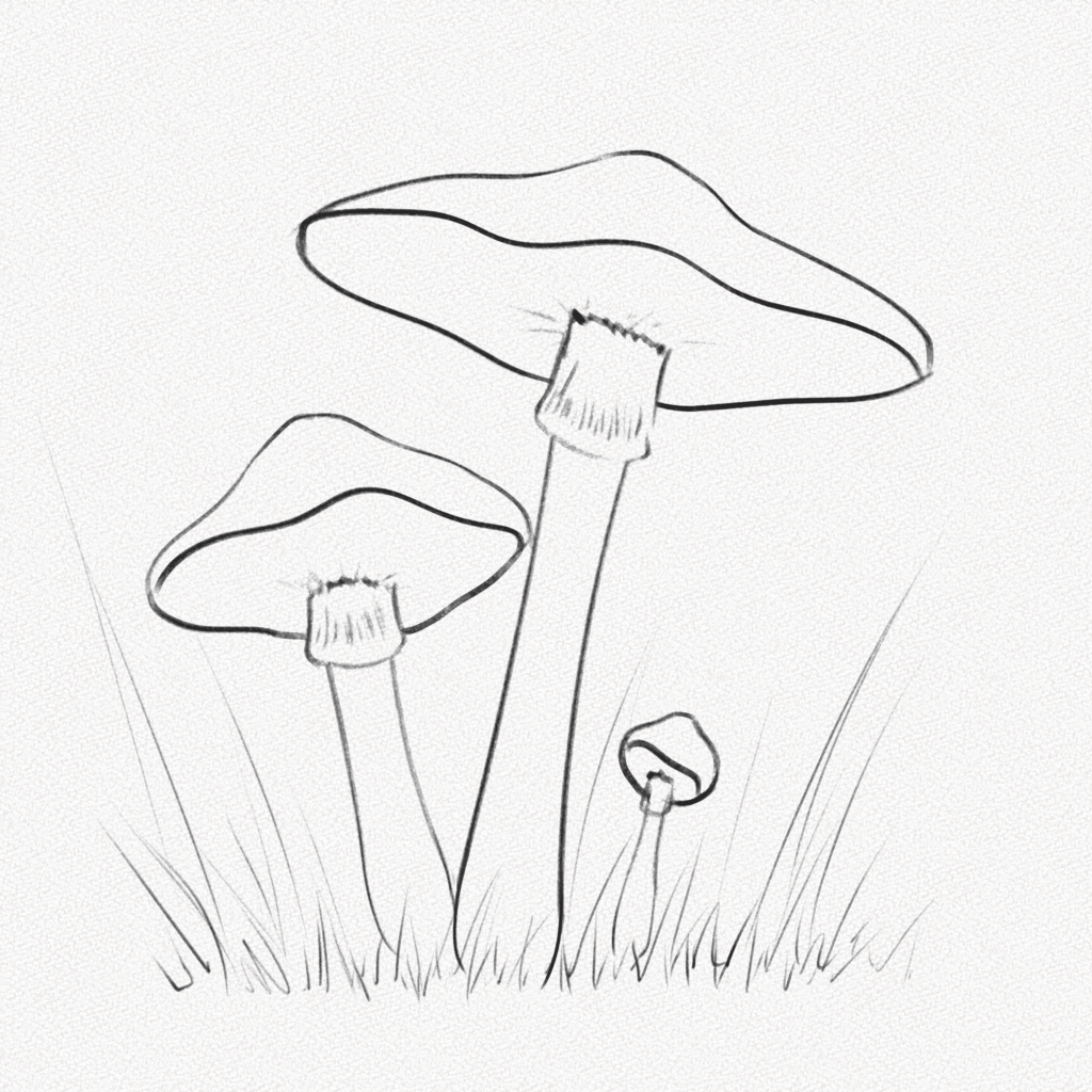 How to Draw A Mushroom – Step-by-Step Art Tutorial – Artlex