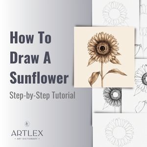 How To Draw A Sunflower - Step-by-Step Tutorial