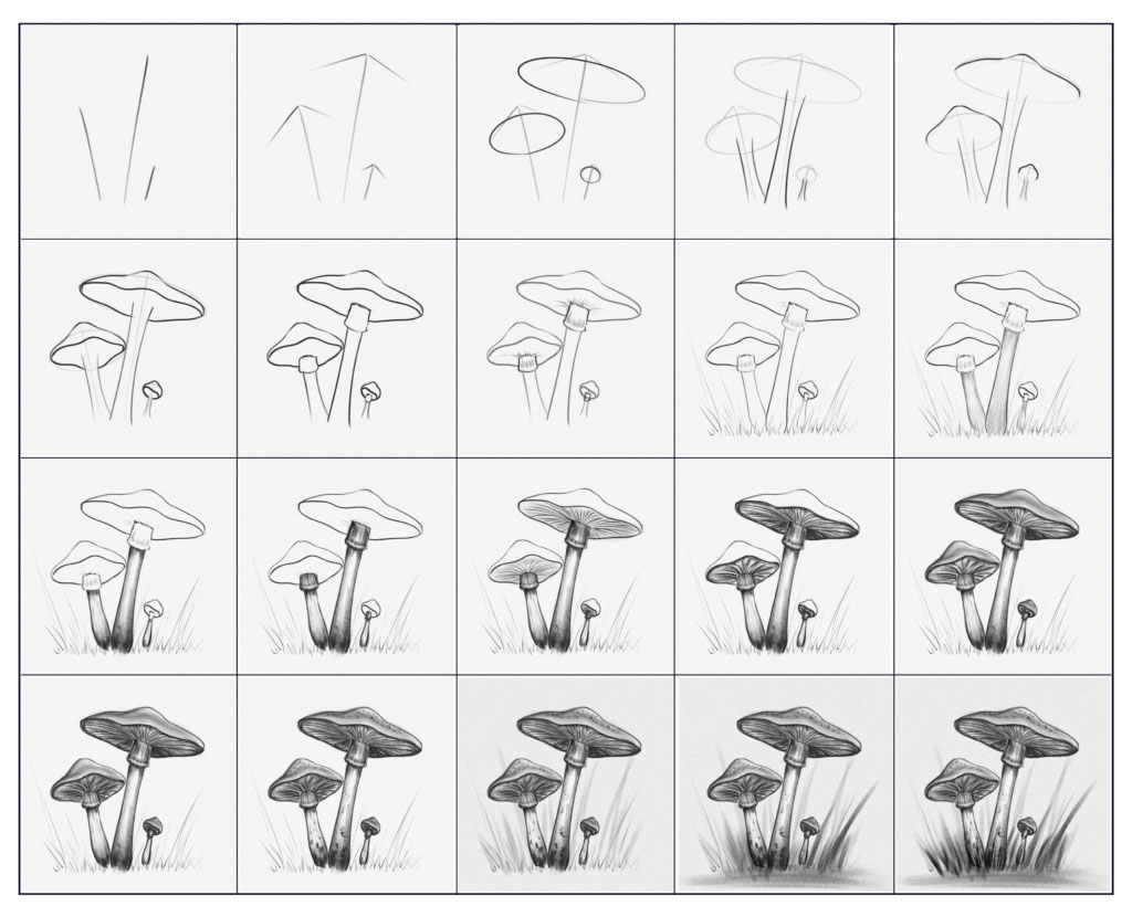 Comment dessiner un champignon - Étapes