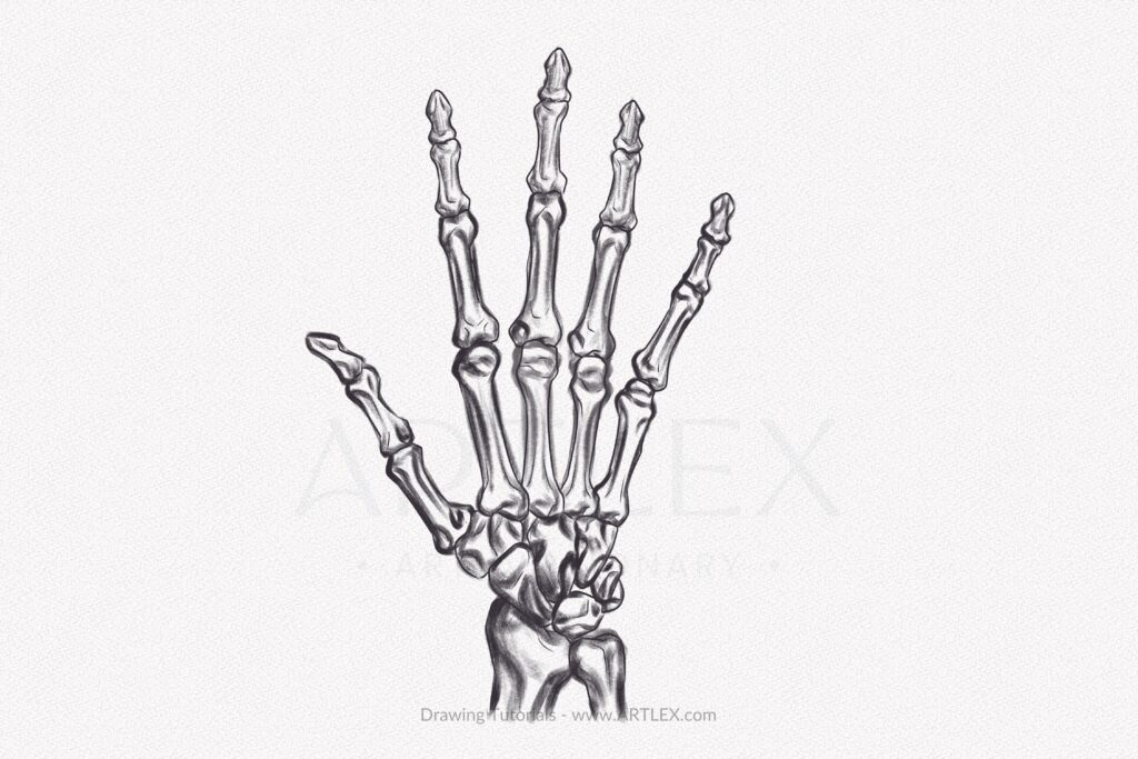 skeleton hand