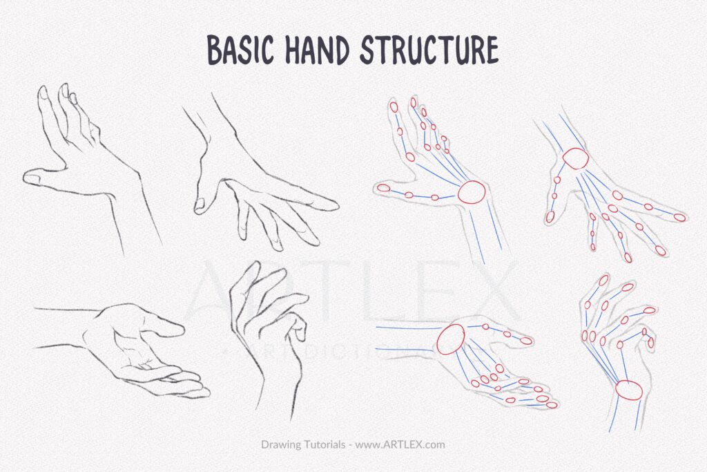How To Draw Anime Hands, Step by Step, Drawing Guide, by Dawn - DragoArt