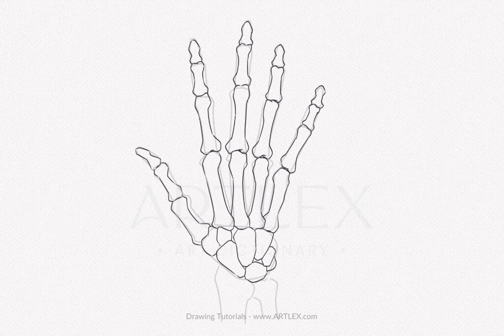 How To Draw A Skeleton Hand: A Step-by-Step Art Tutorial – Artlex