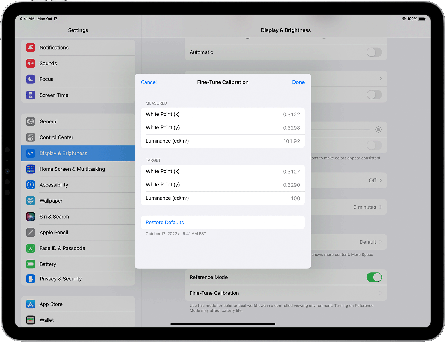 iPad Settings 