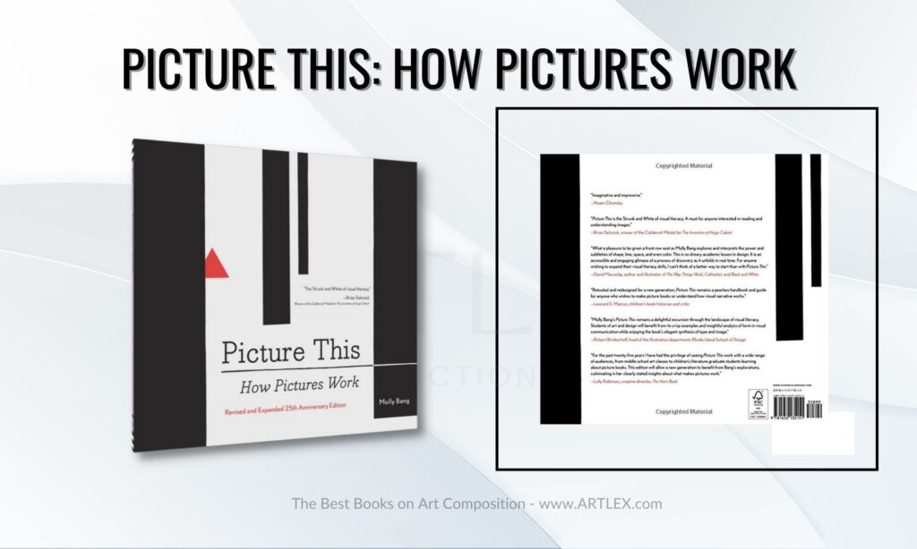 picture this: how pictures work