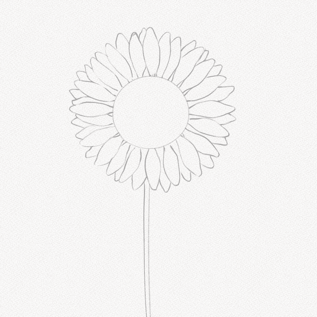 how to draw a sunflower