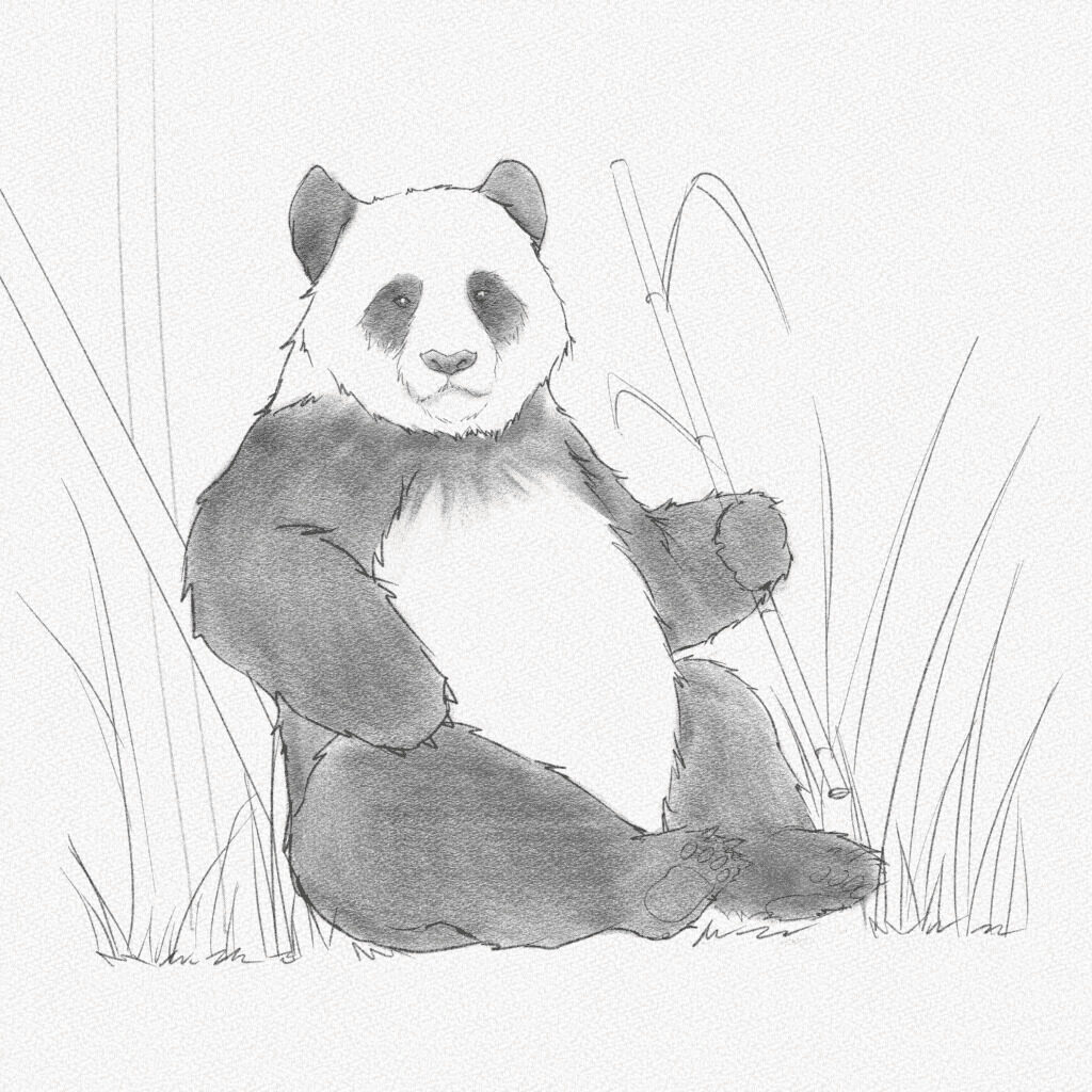 how to draw a panda