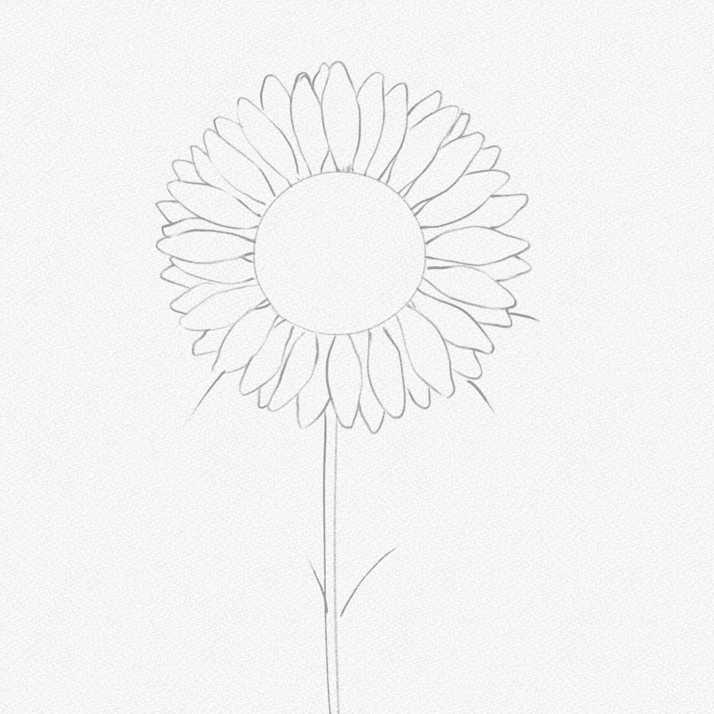 how to draw a sunflower