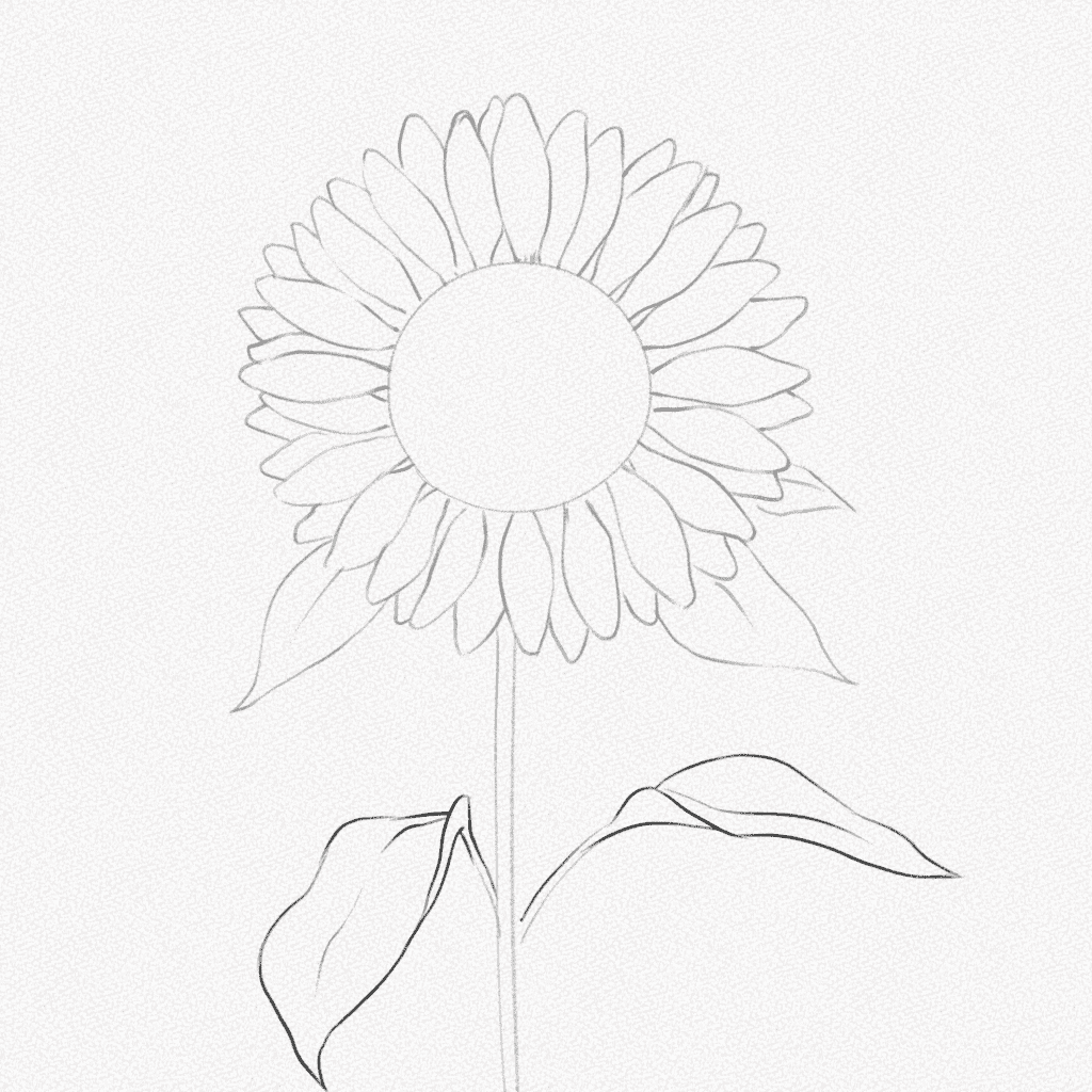 how to draw a sunflower