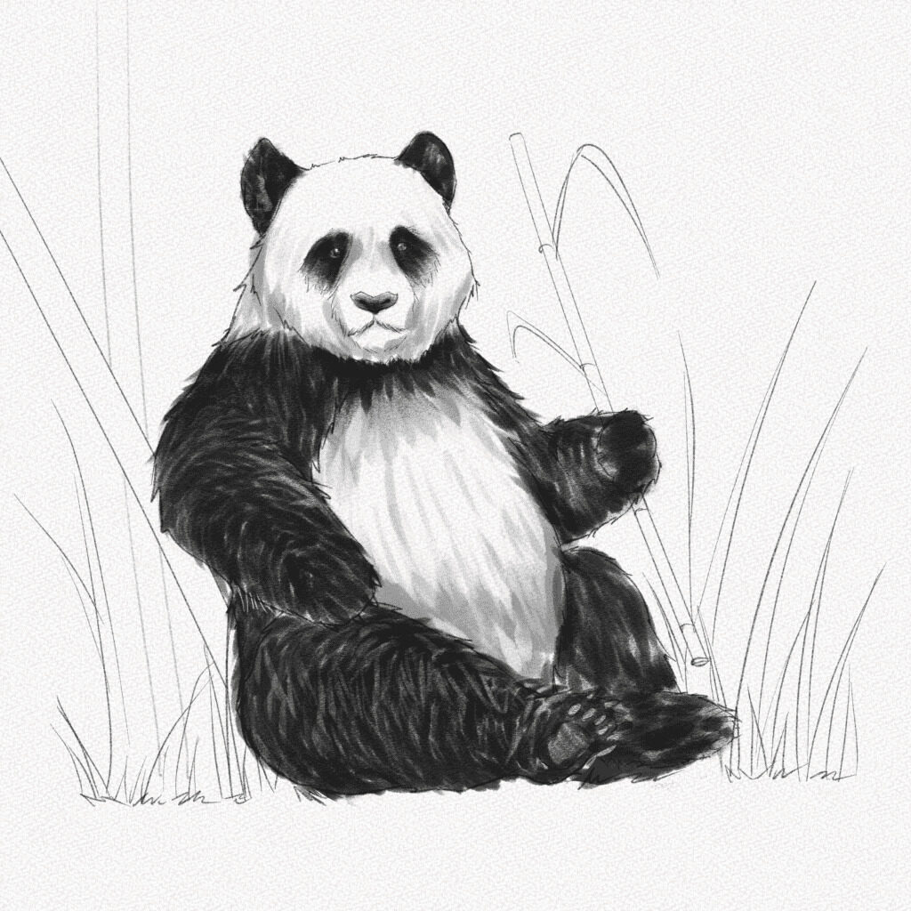 How to draw a cute panda easy | Baby panda drawing step by step-saigonsouth.com.vn