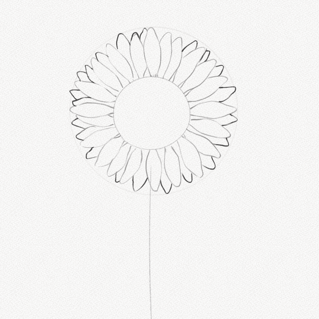 how to draw a sunflower