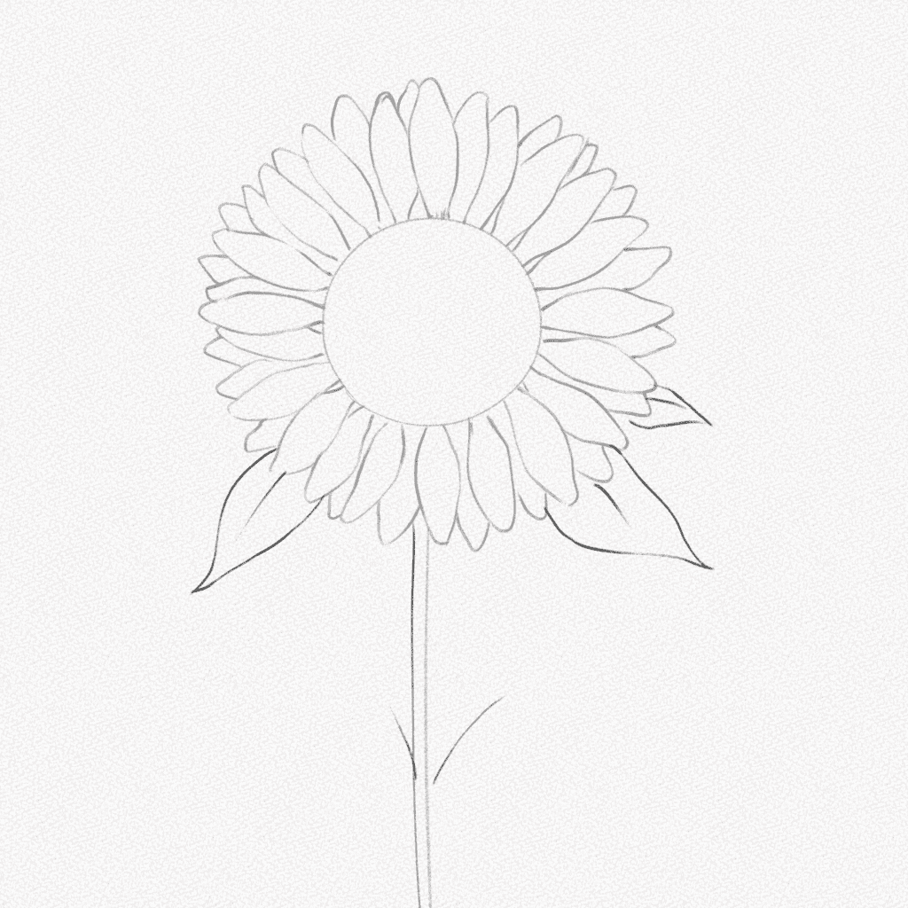 how to draw a sunflower