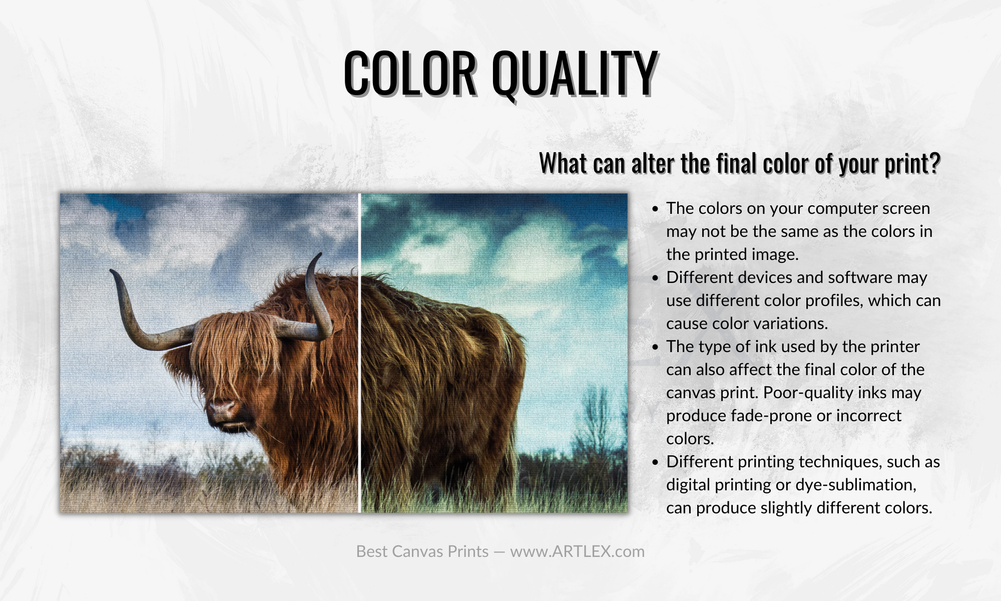 Color Quality of Canvas Prints