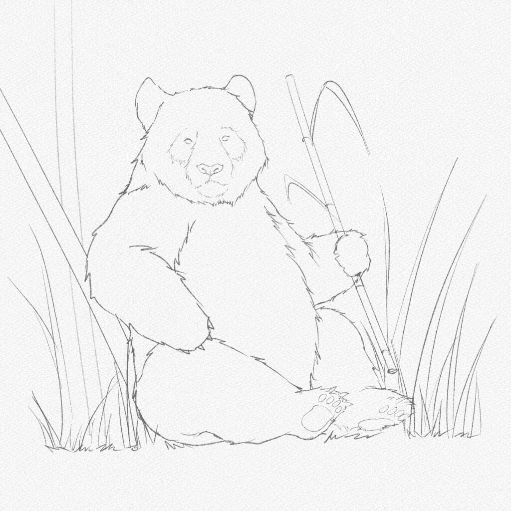 how to draw a panda