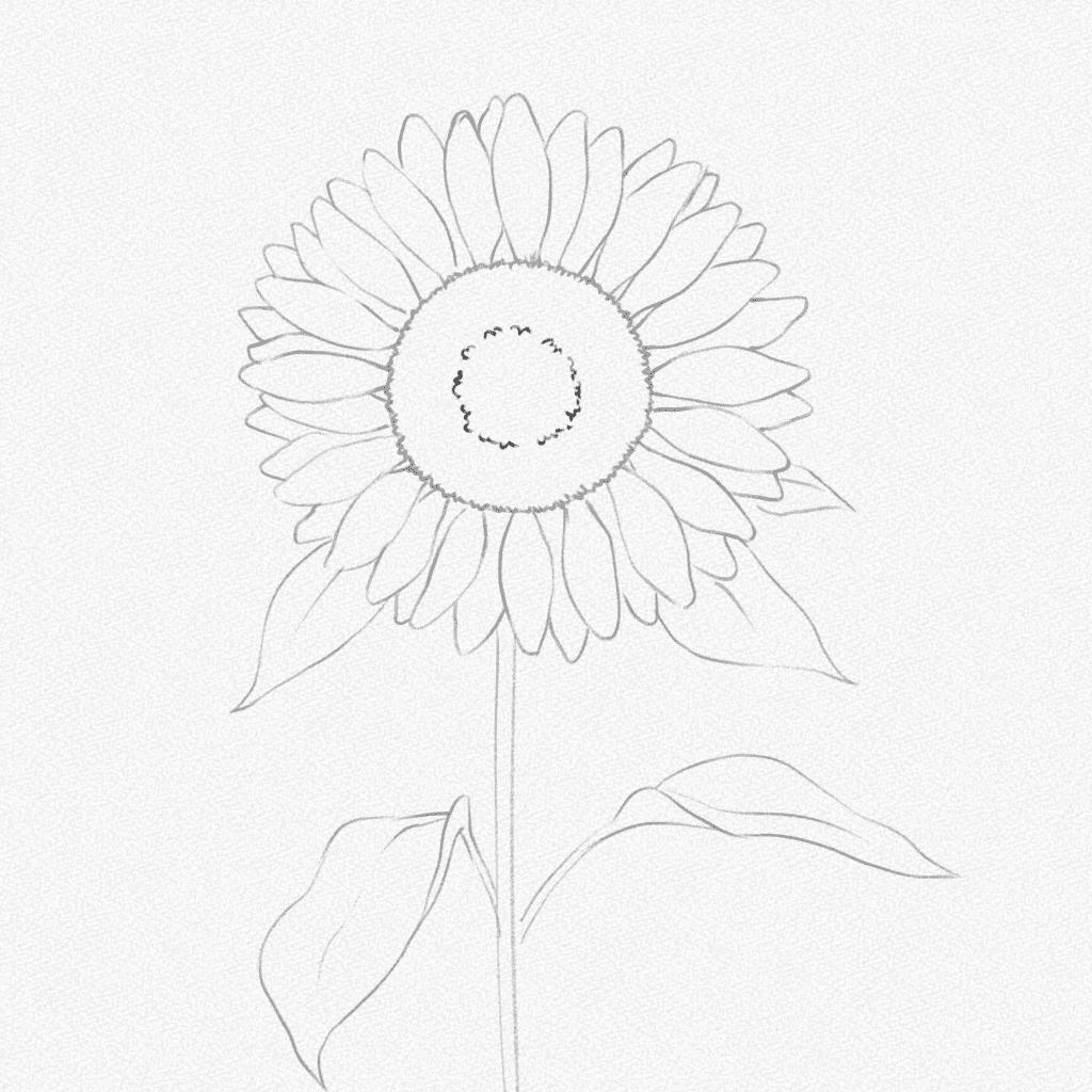 how to draw a sunflower