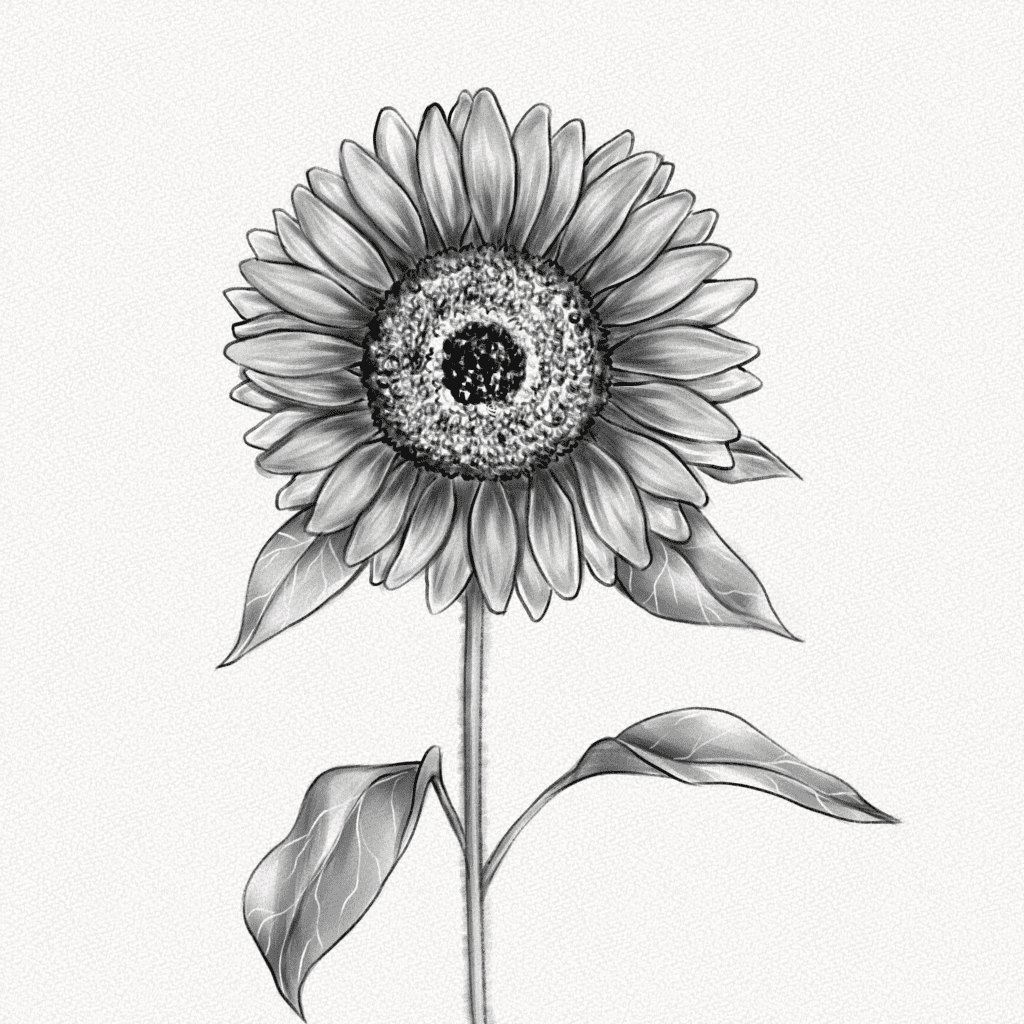 Sketch Sunflower, Hand Drawn, Ink Style Royalty Free SVG, Cliparts,  Vectors, and Stock Illustration. Image 27552697.