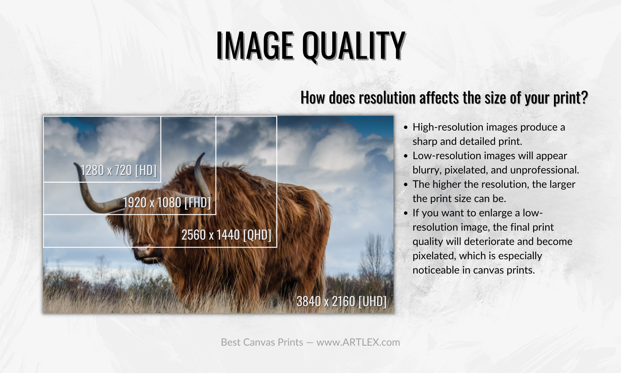 Image Quality of Canvas Prints