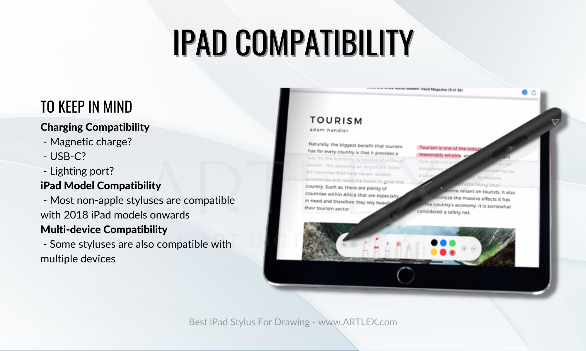 iPad Compatibility