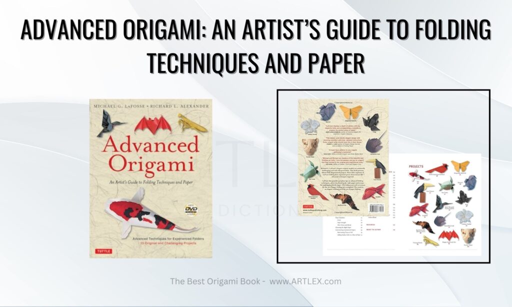 Advanced Origami: An Artist's Guide to Folding Techniques and Paper