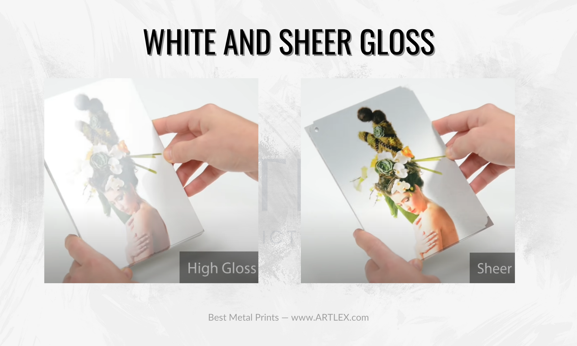 White and Sheer Gloss Metal Prints