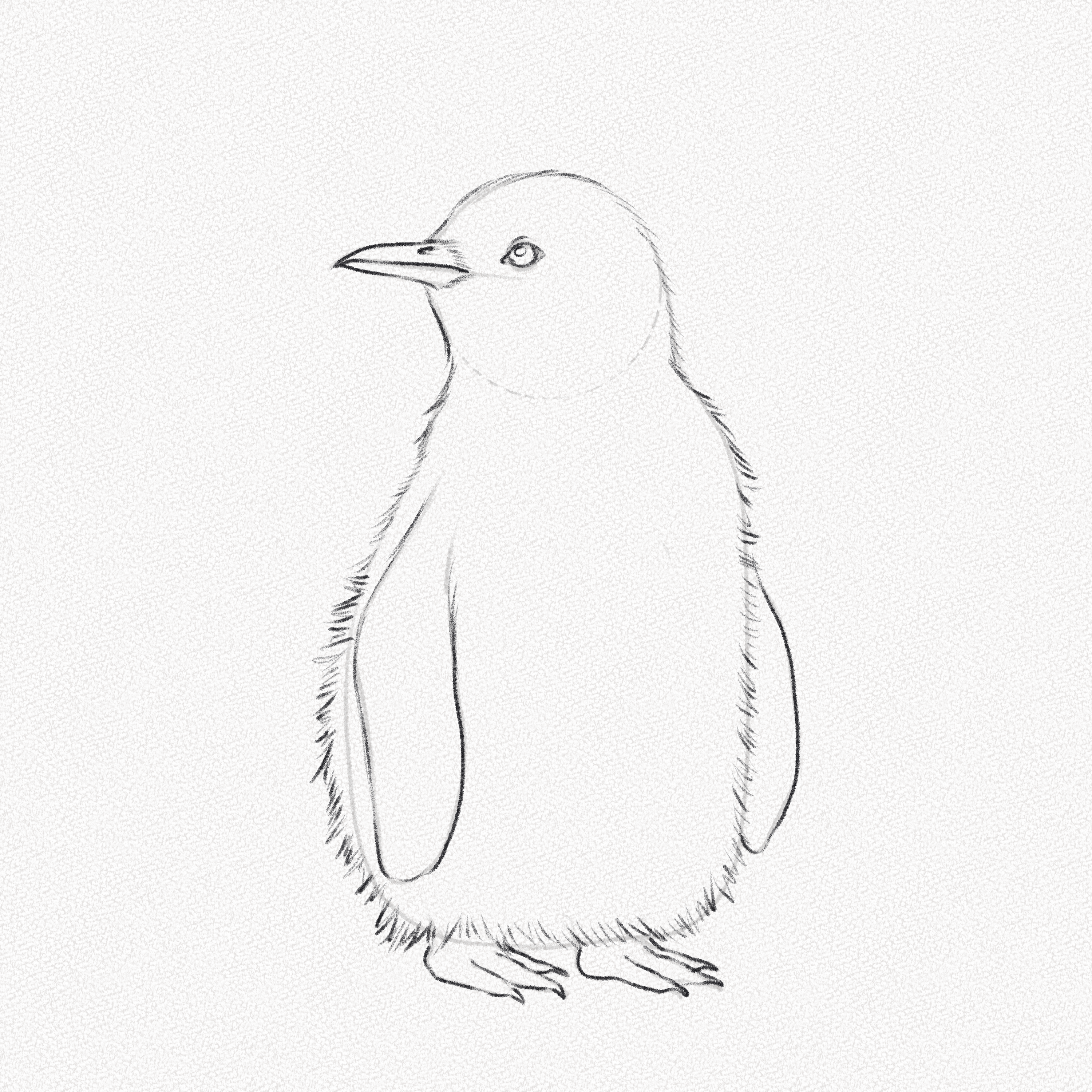 How to Draw a Penguin for Kids, Pencil Sketch for Beginners Step by Step