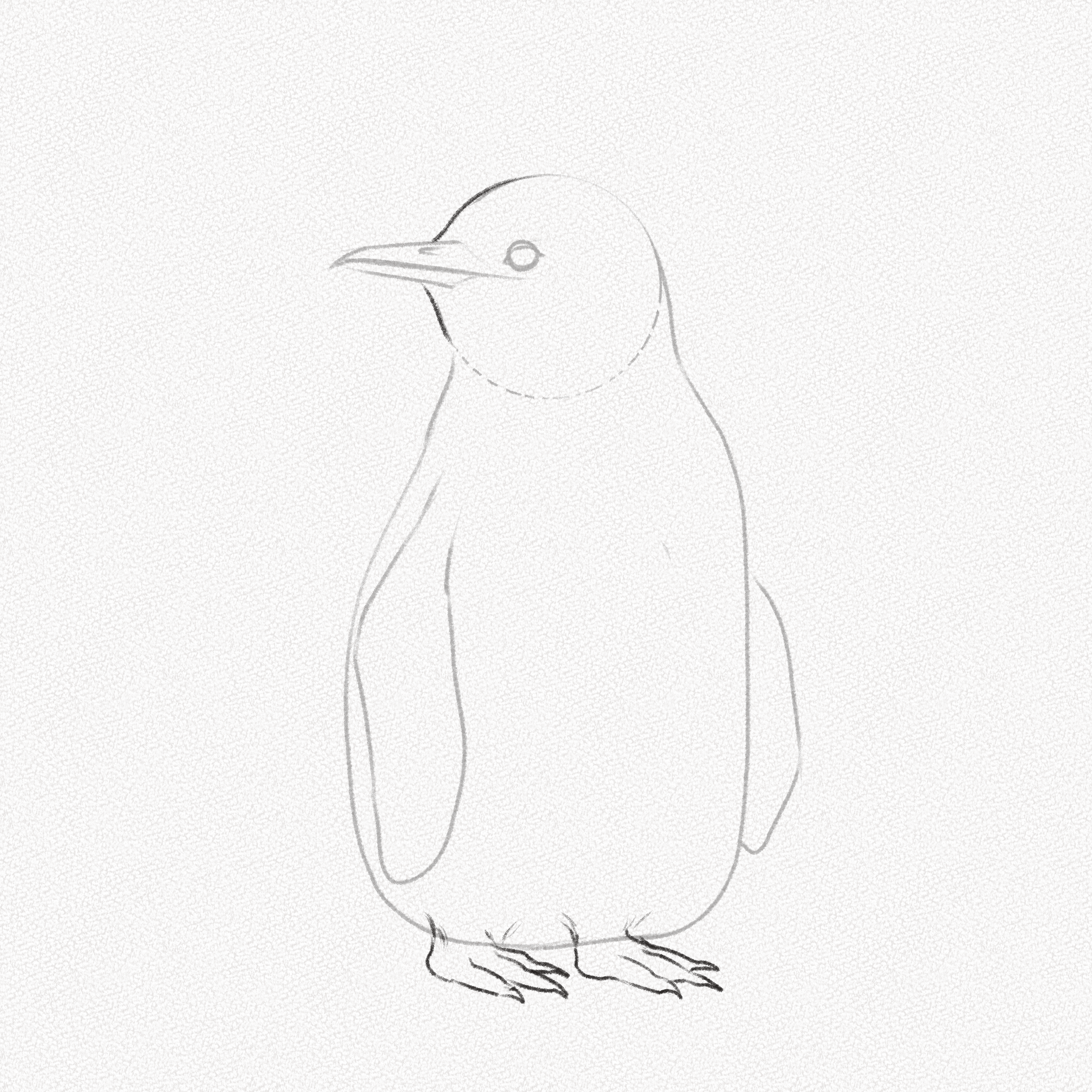 How to Draw a Penguin for Kids, Pencil Sketch for Beginners Step by Step