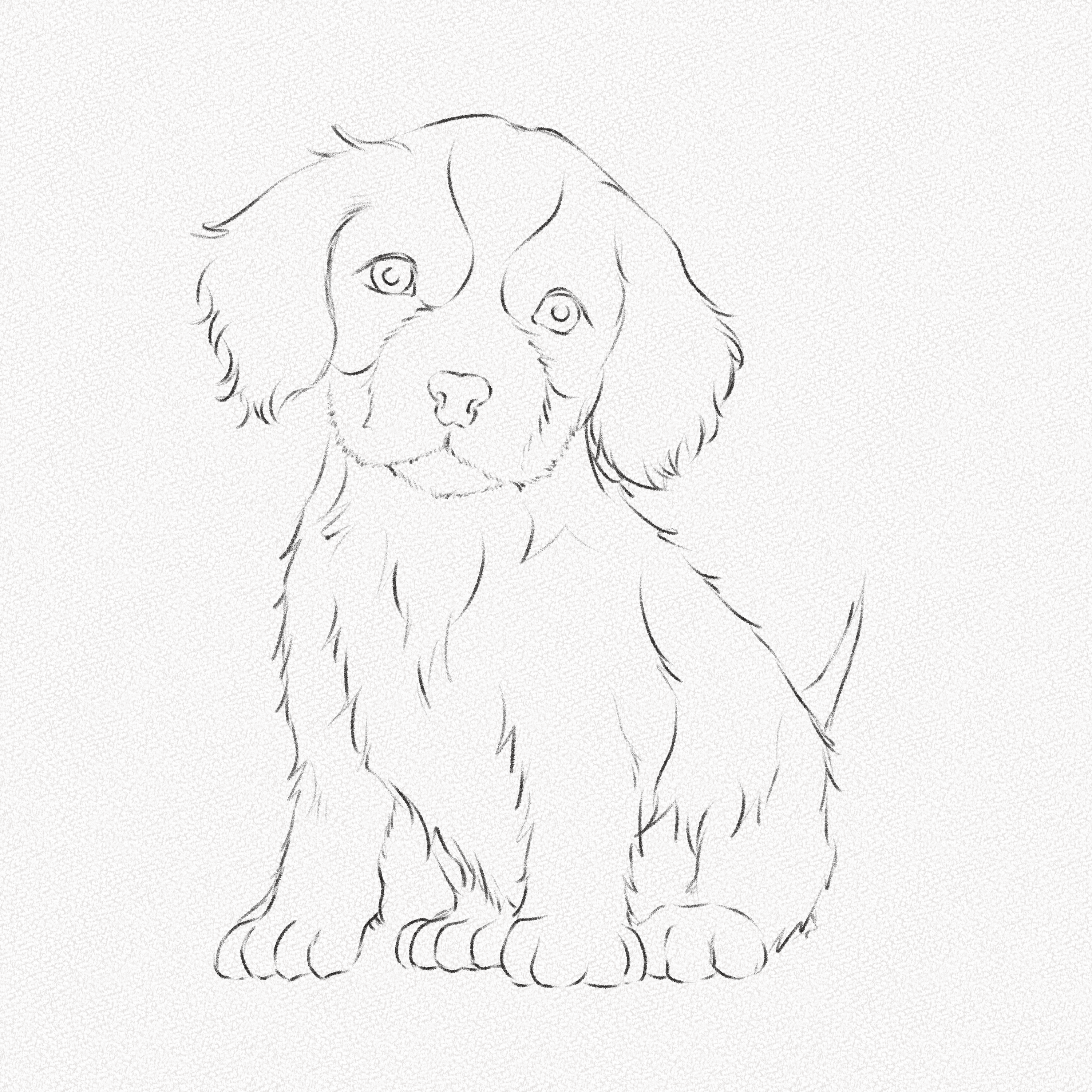 Puppy (Sketch) by CHWArt on DeviantArt