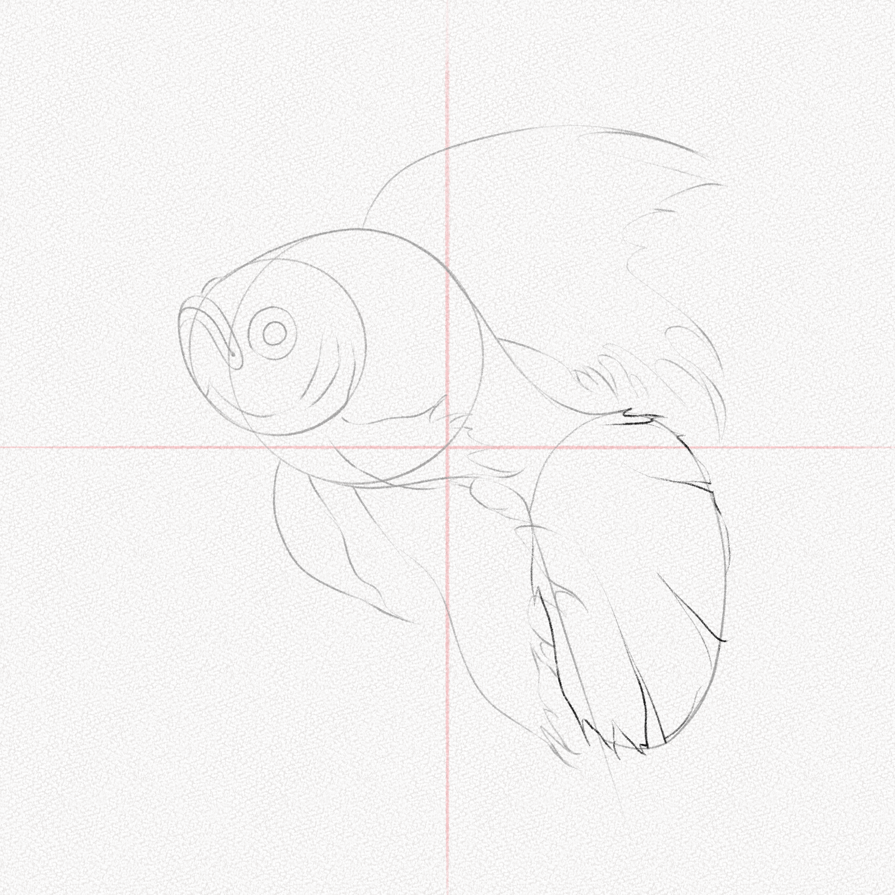 How to Draw a Fish – A Step-by-Step Tutorial – Artlex