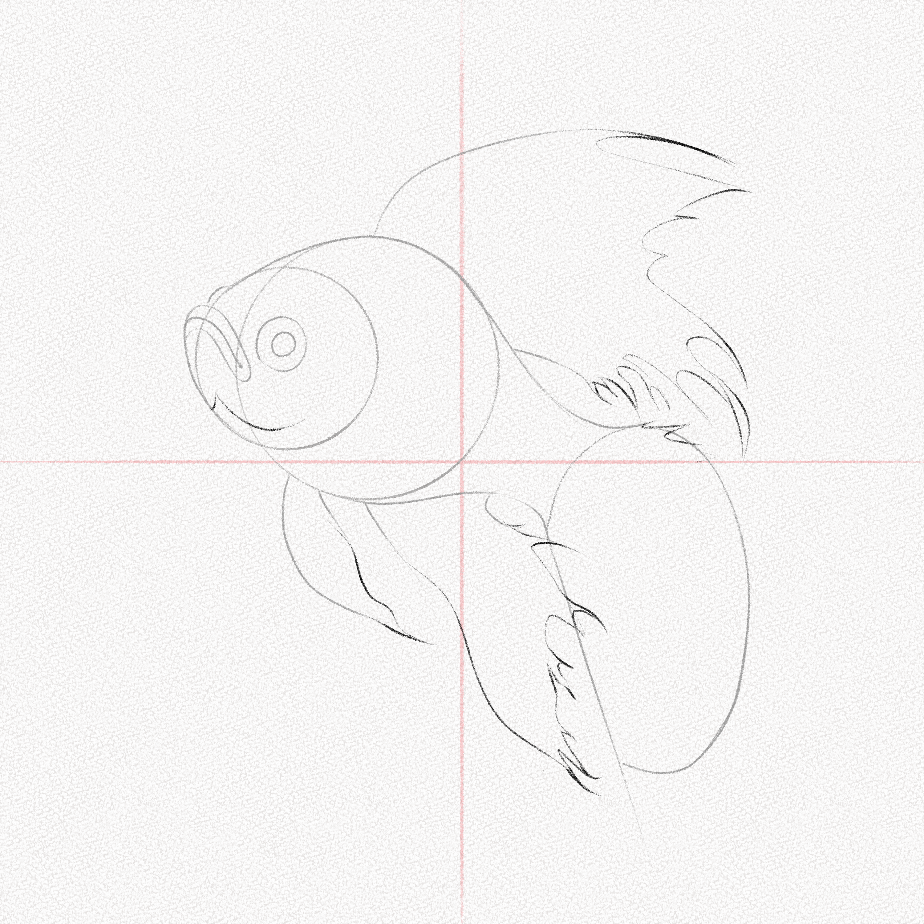 How to Draw a Fish – A Step-by-Step Tutorial – Artlex