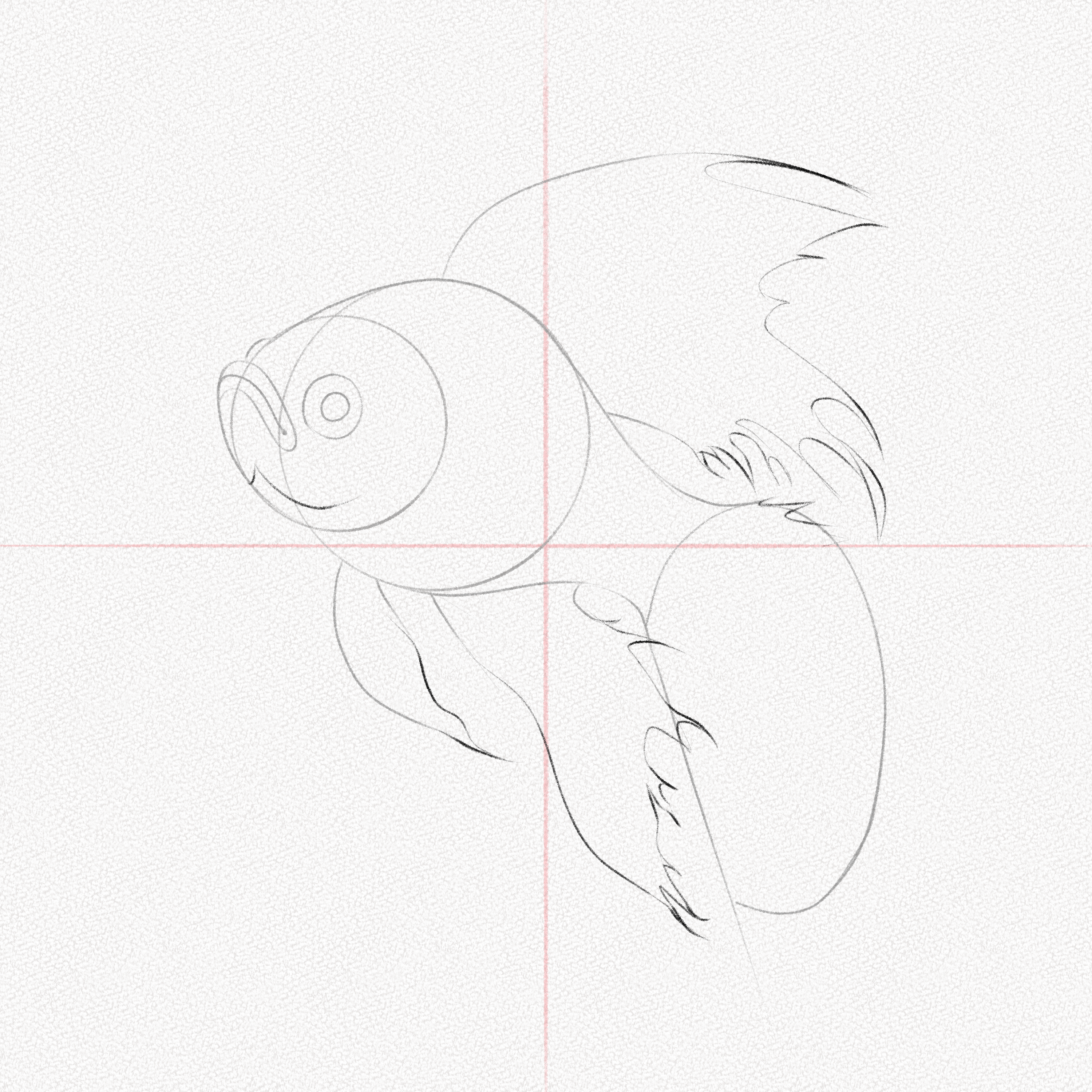 How to Draw a Goldfish - Step-by-Step Pet Fish Sketch