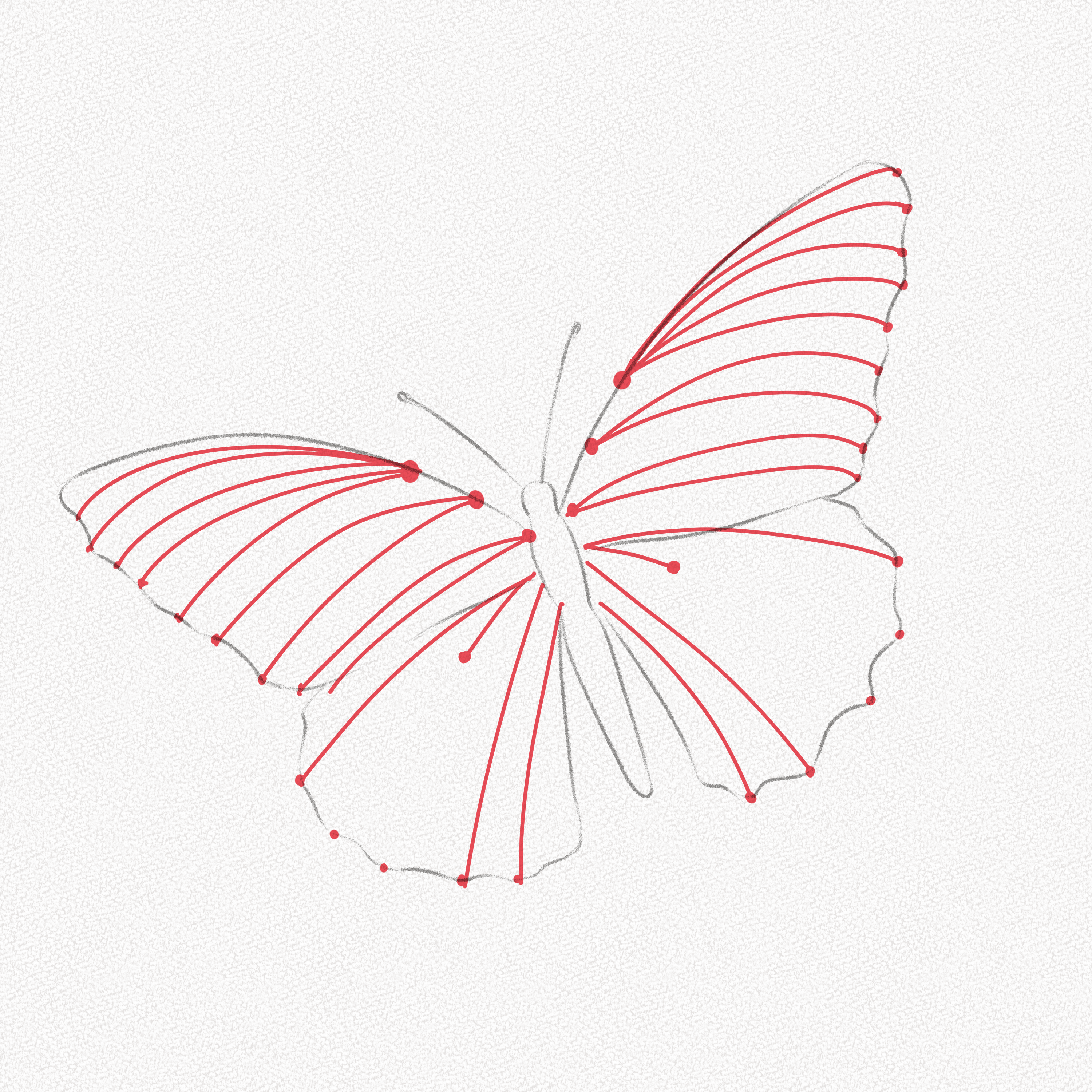 250+ Butterfly Drawing Simple & Easy Images HD Download-saigonsouth.com.vn
