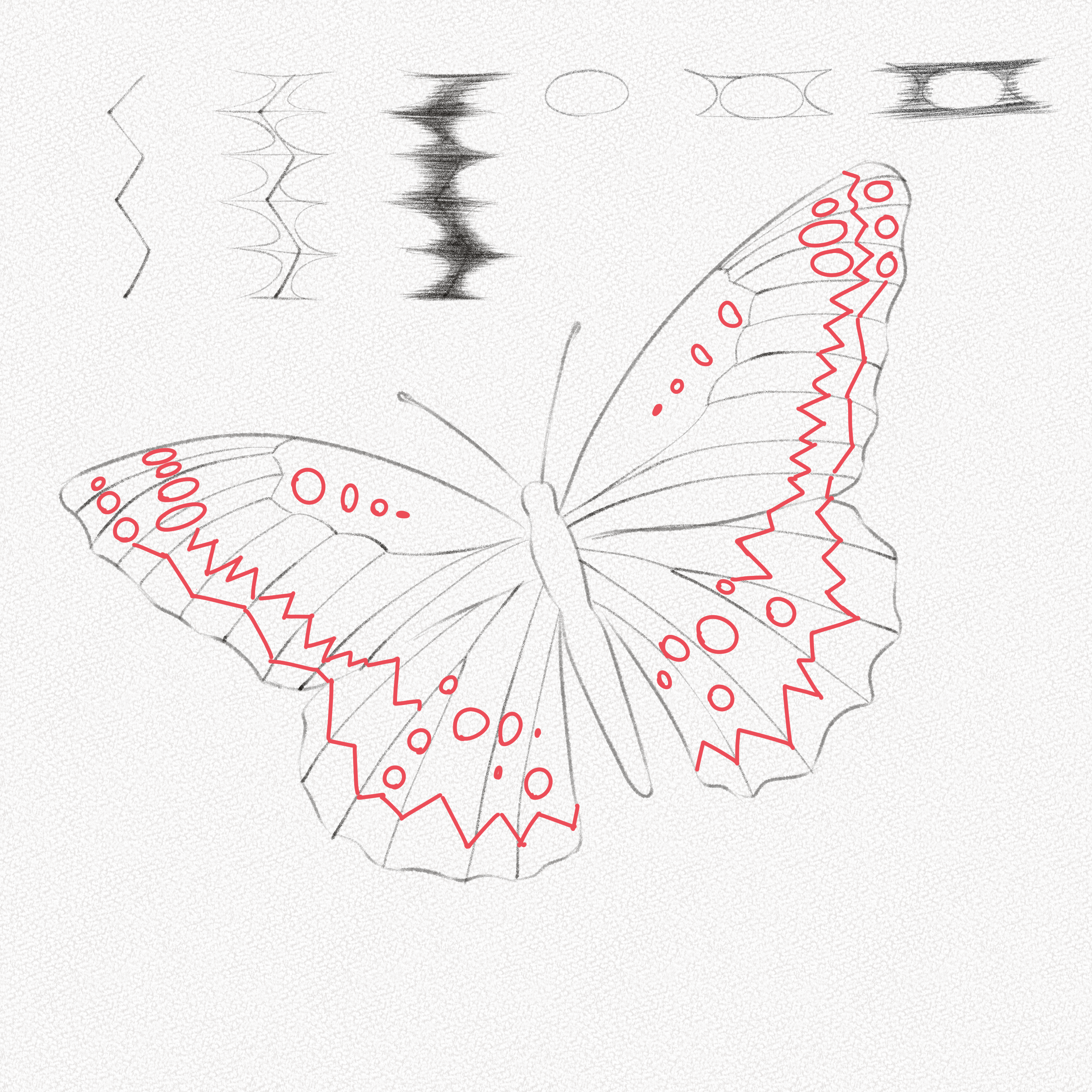 Easy Butterfly Drawing. How To Draw Step By Step. – Cass Galleas-saigonsouth.com.vn