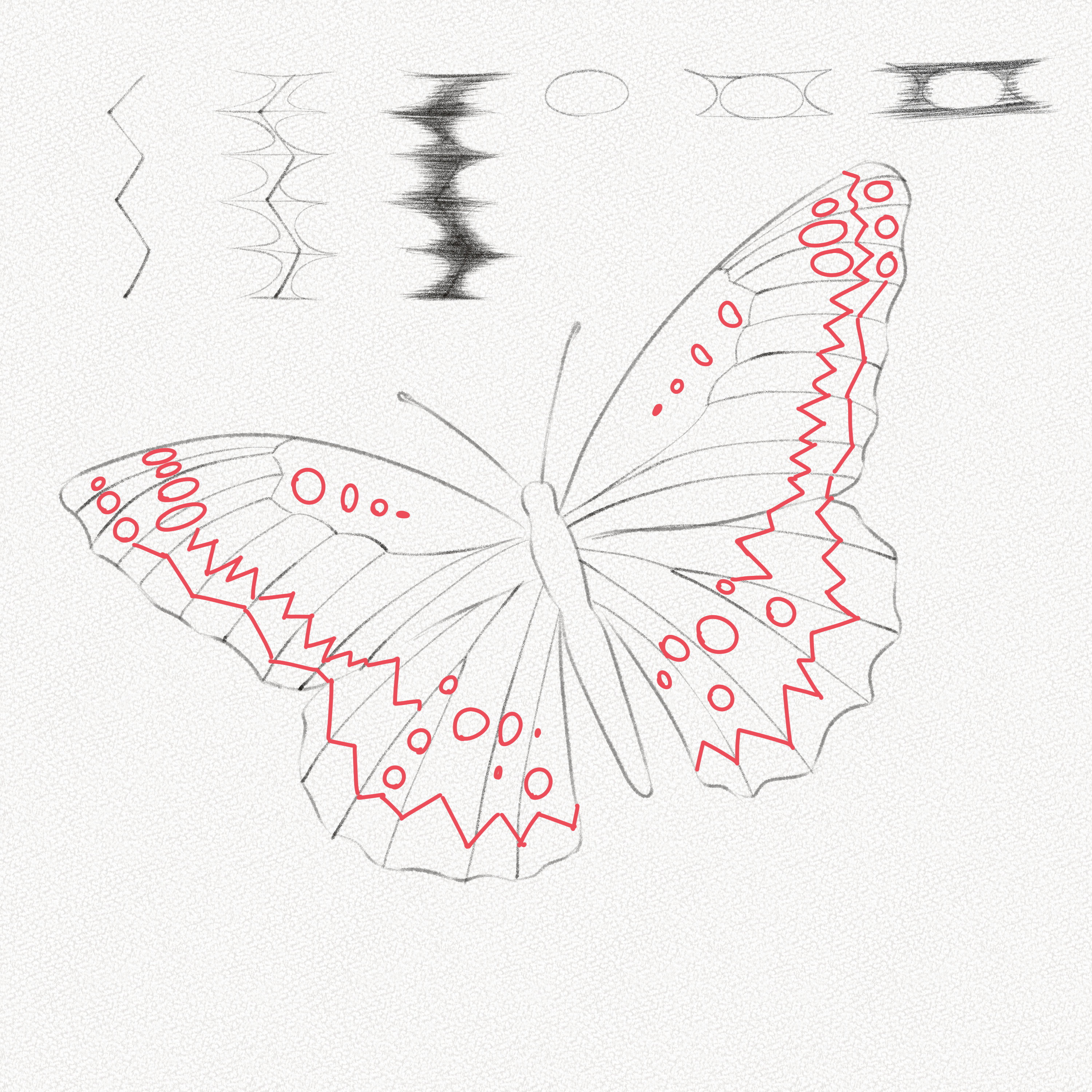 Butterfly Drawing Easy Step by Step