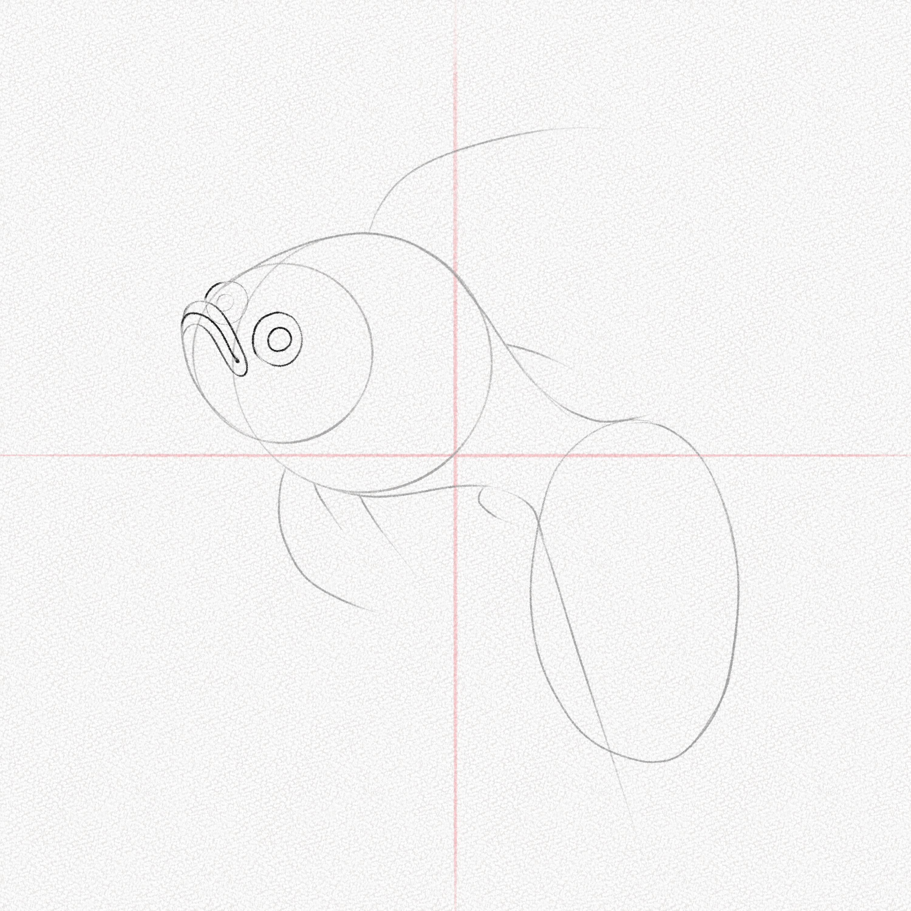 How to Draw a Fish: An Easy Fish Drawing Tutorial in 2023