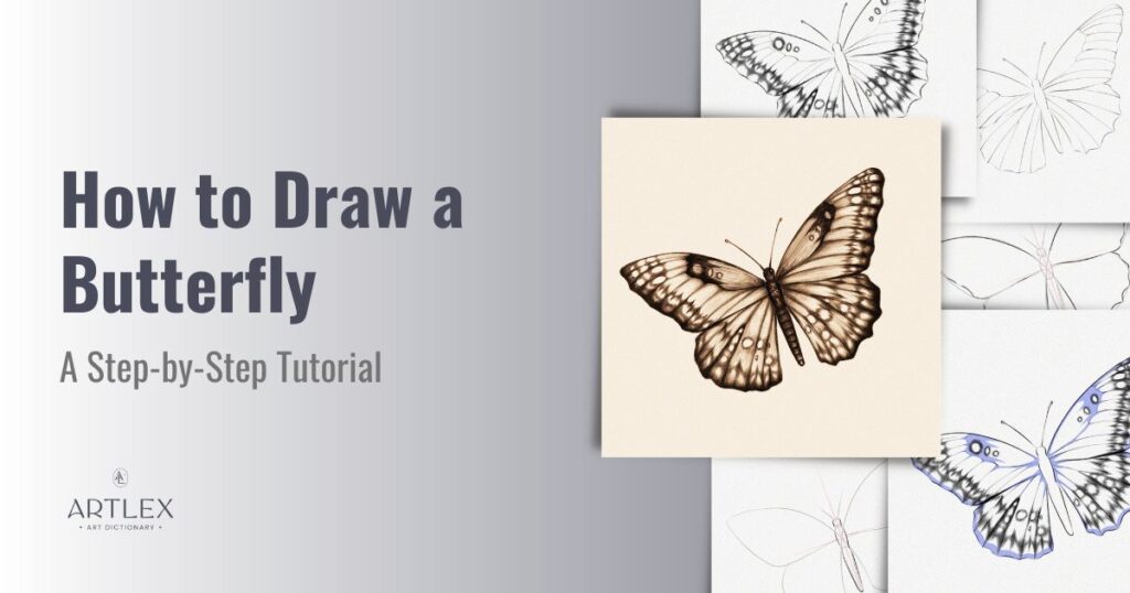 how to draw a butterfly