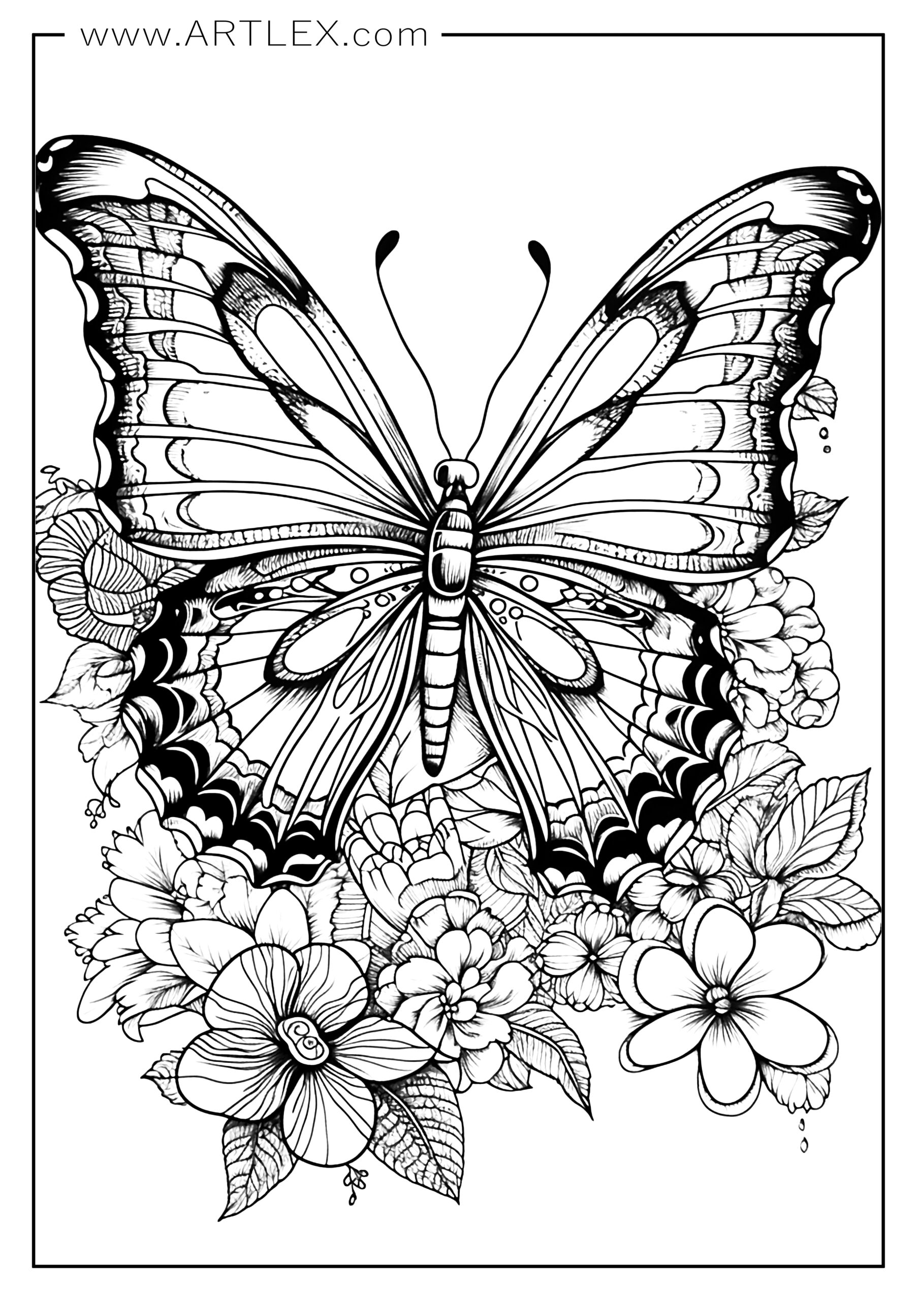 Detailed Coloring Books For Kids: Butterflies: Black Background - Art  Therapy Coloring