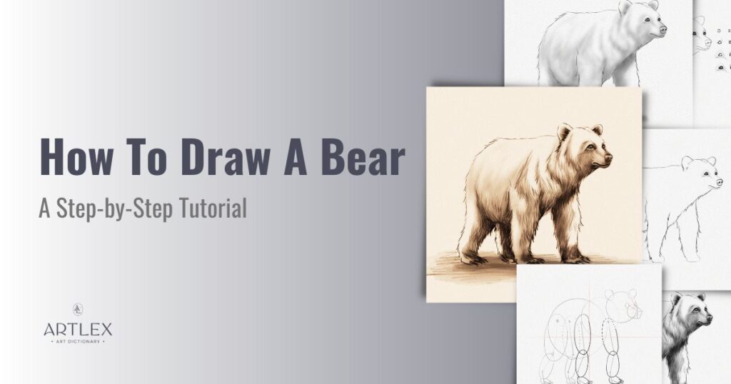 how to draw a bear