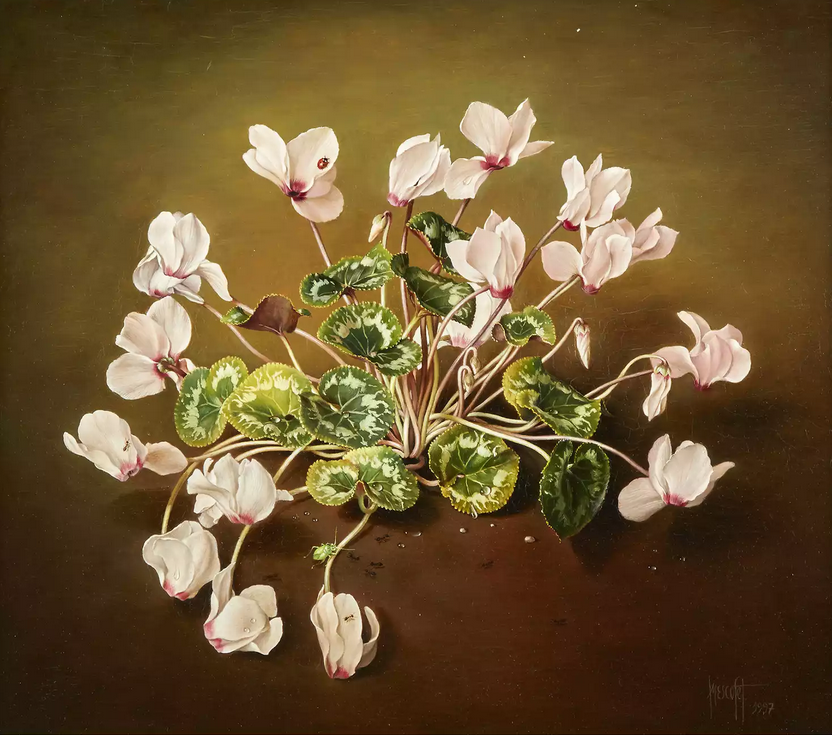 "Woodland Pink Cyclamen Plant" by Jose Escofet